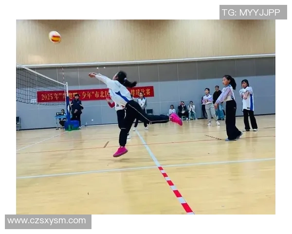 上海排球队的速度之美:探秘排球运动中的快速反应与战术运用